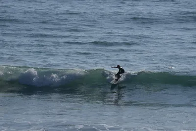 DSC_6937 (Large).JPG